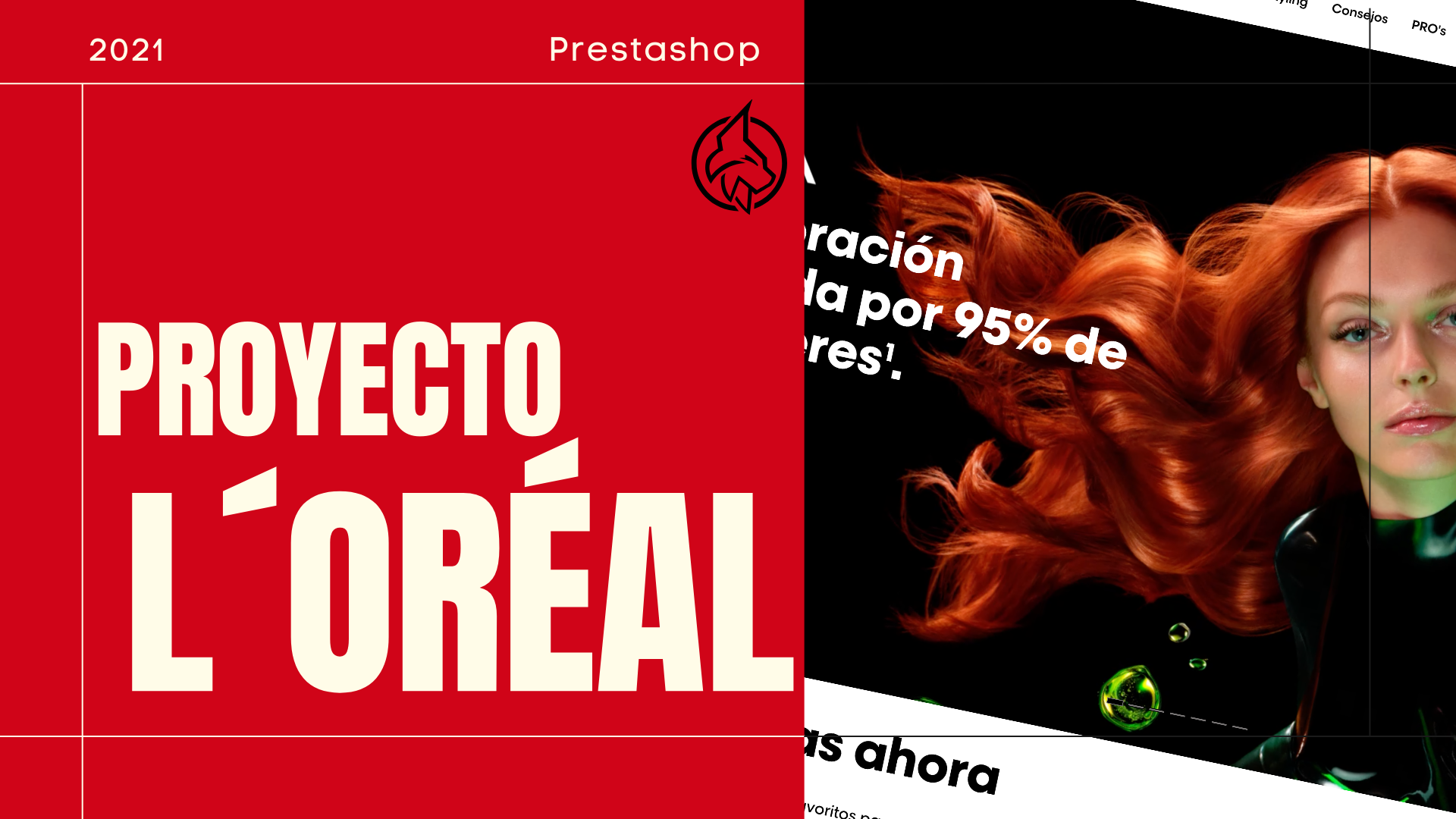 Loreal professionel